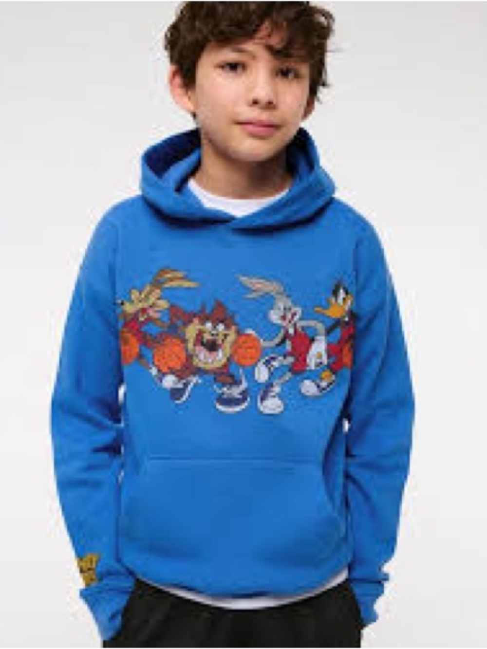 Abercrombie Kids Looney tunes graphic popover hoodie